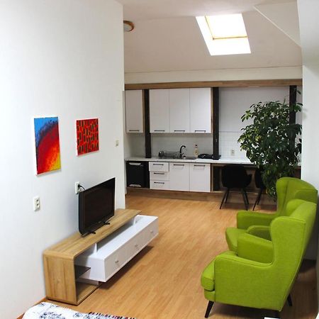 Krasny Priestranny Slnecny Apartman V Centre Mesta Trencin Bagian luar foto