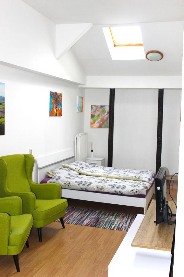 Krasny Priestranny Slnecny Apartman V Centre Mesta Trencin Bagian luar foto