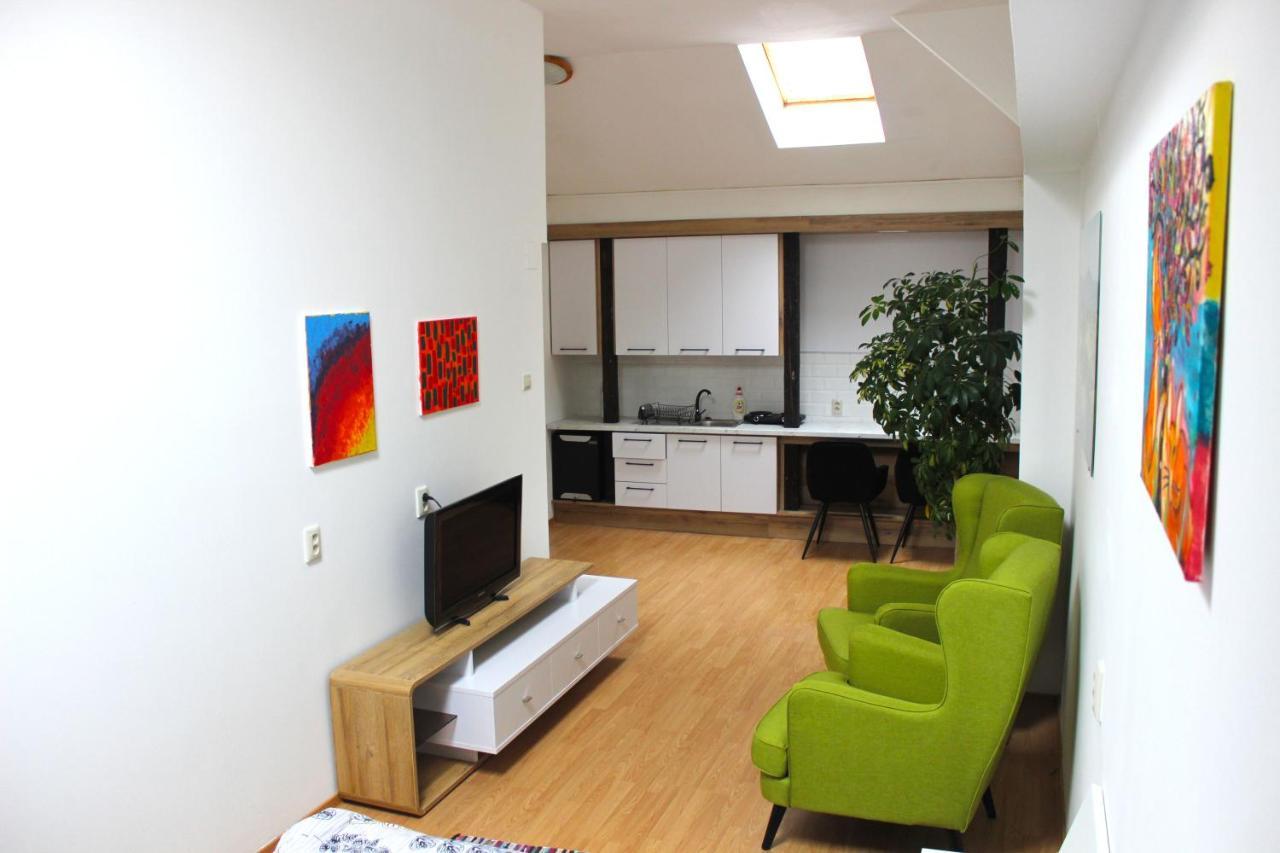 Krasny Priestranny Slnecny Apartman V Centre Mesta Trencin Bagian luar foto